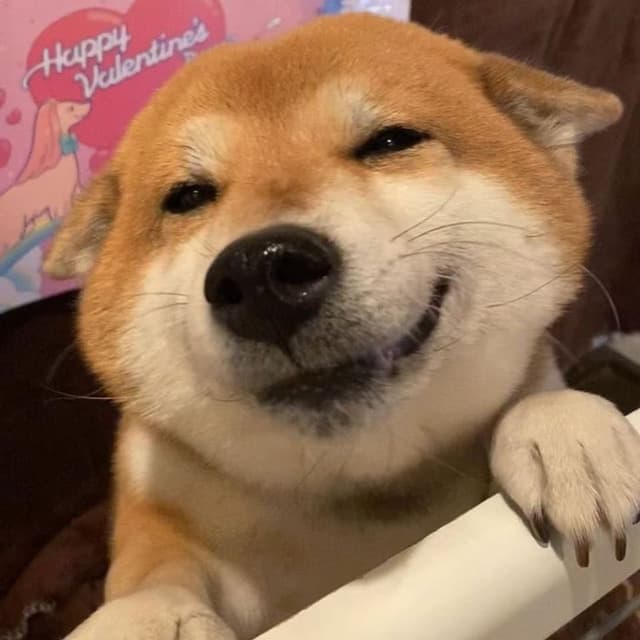 또리